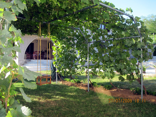 Domaćinstvo Radmila Radivojević 9